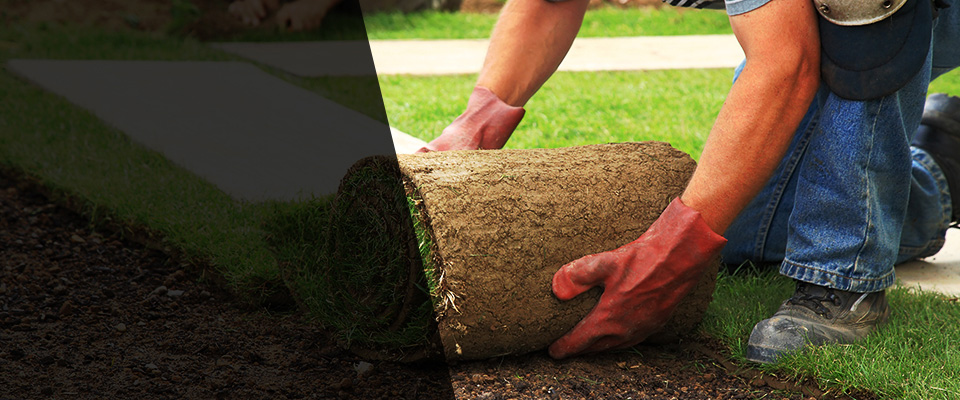 Cape Girardeau Landscapers